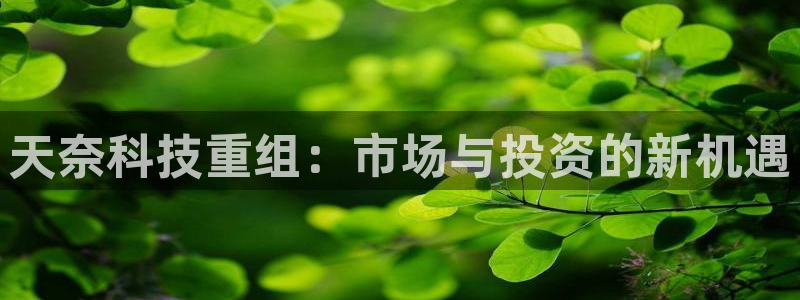 天奈科技重组：市场与投资的新机遇