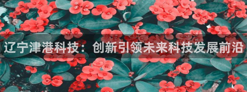 辽宁津港科技：创新引领未来科技发展前沿