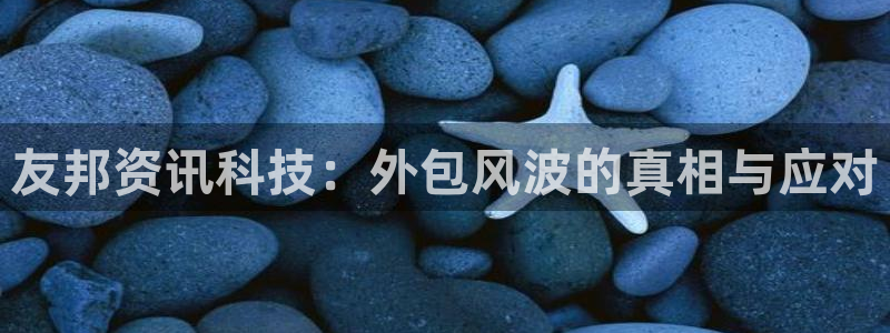 友邦资讯科技：外包风波的真相与应对