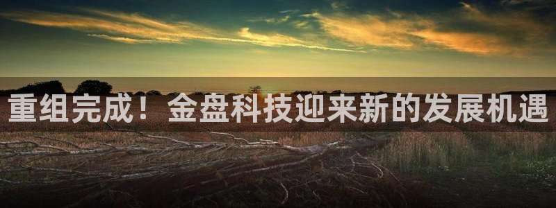 重组完成！金盘科技迎来新的发展机遇