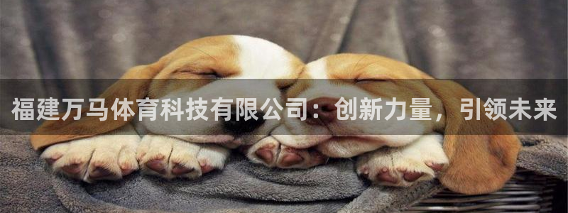 福建万马体育科技有限公司：创新力量，引领未来