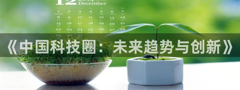 《中国科技圈：未来趋势与创新》