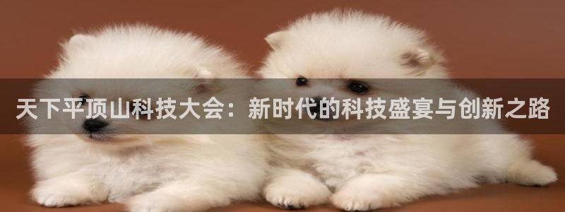天下平顶山科技大会：新时代的科技盛宴与创新之路