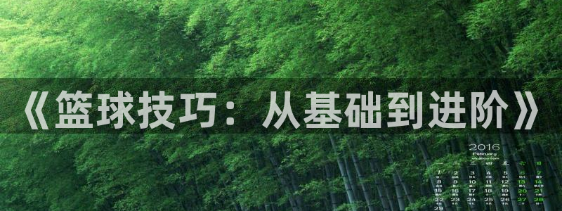 《篮球技巧：从基础到进阶》