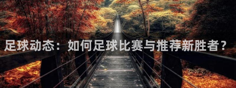 足球动态：如何足球比赛与推荐新胜者？