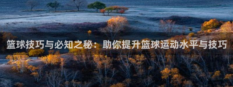 篮球技巧与必知之秘：助你提升篮球运动水平与技巧