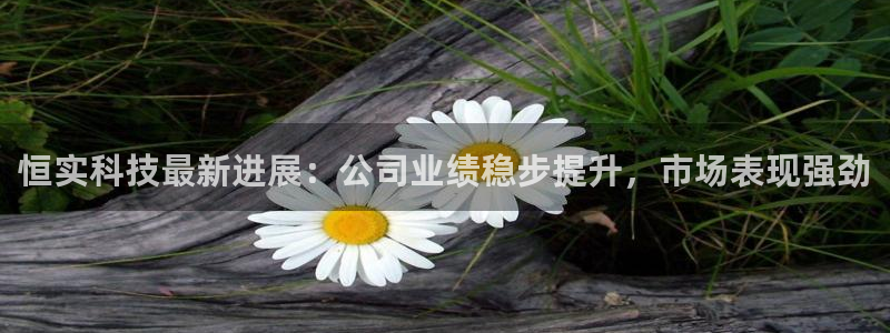 恒实科技最新进展：公司业绩稳步提升，市场表现强劲