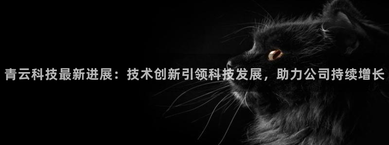 青云科技最新进展：技术创新引领科技发展，助力公司持续增长