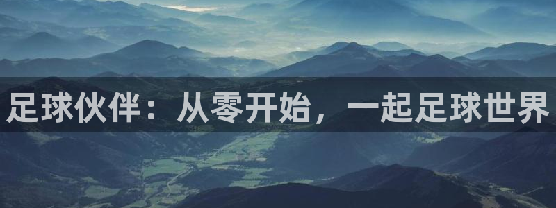 足球伙伴：从零开始，一起足球世界
